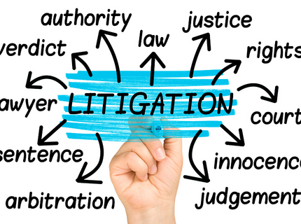 Public interest litigation